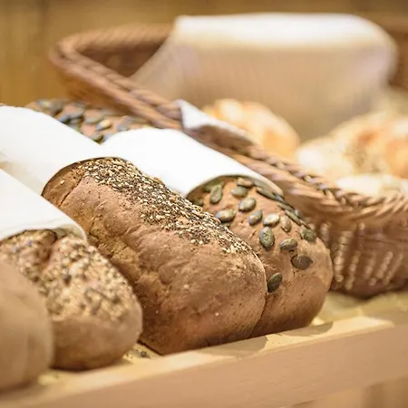 Alpina Wellness & Hotel 4*