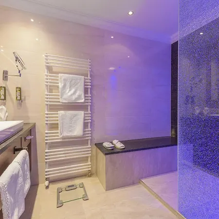 Alpina Wellness & Otel 4*