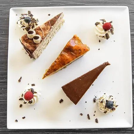 Alpina Wellness & Spa Hotel